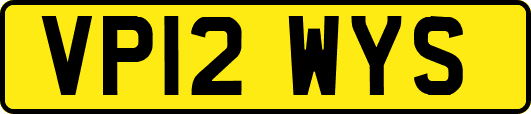 VP12WYS