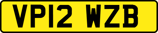 VP12WZB