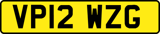 VP12WZG