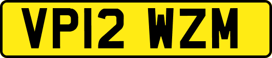 VP12WZM