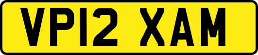 VP12XAM
