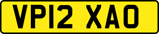 VP12XAO