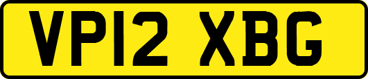 VP12XBG