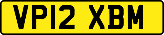 VP12XBM