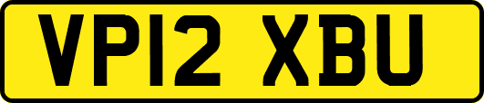 VP12XBU