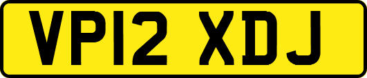 VP12XDJ