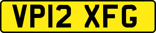 VP12XFG