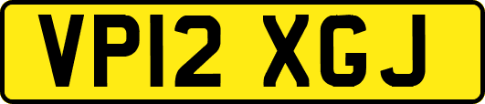 VP12XGJ