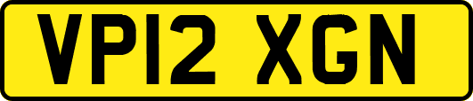 VP12XGN