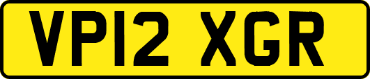 VP12XGR