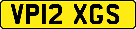 VP12XGS