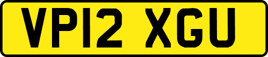 VP12XGU