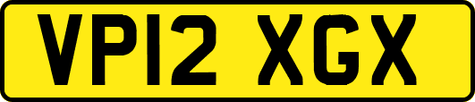 VP12XGX
