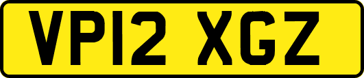 VP12XGZ