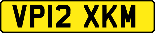 VP12XKM