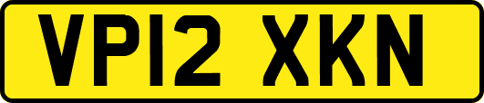 VP12XKN