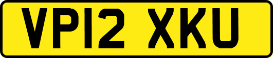 VP12XKU