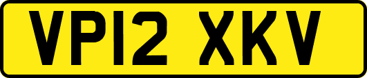 VP12XKV