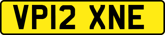 VP12XNE