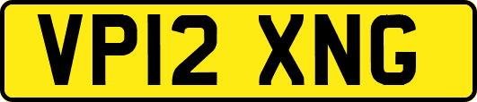 VP12XNG
