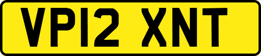 VP12XNT