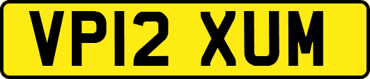 VP12XUM