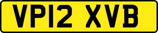 VP12XVB