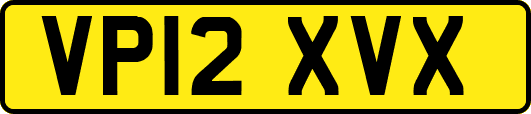 VP12XVX