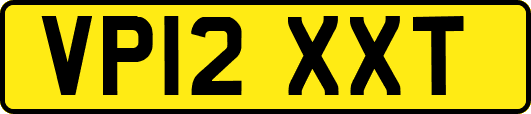VP12XXT