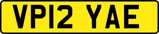 VP12YAE