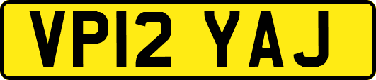 VP12YAJ