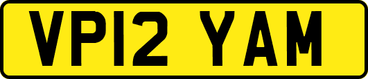 VP12YAM