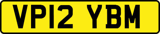 VP12YBM
