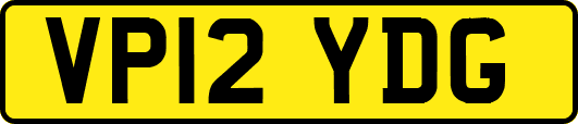VP12YDG