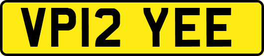 VP12YEE