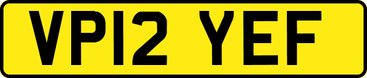 VP12YEF