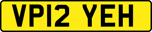 VP12YEH