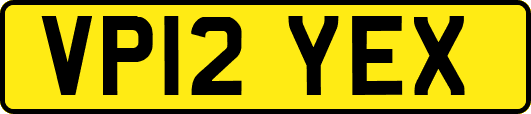VP12YEX