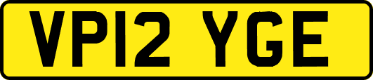 VP12YGE