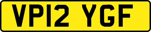 VP12YGF