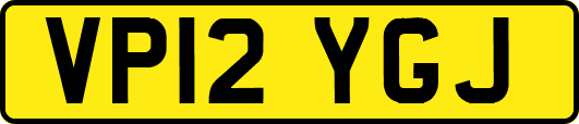 VP12YGJ