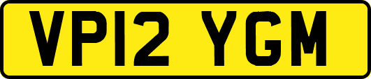 VP12YGM