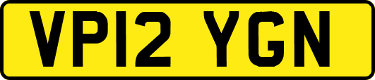 VP12YGN