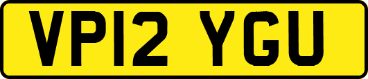 VP12YGU