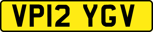 VP12YGV