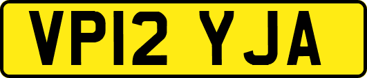VP12YJA