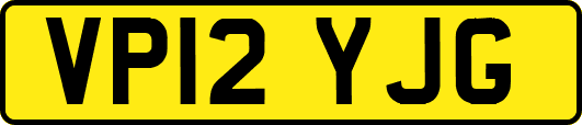 VP12YJG
