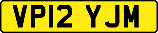 VP12YJM