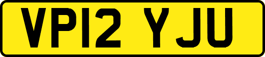VP12YJU