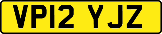 VP12YJZ